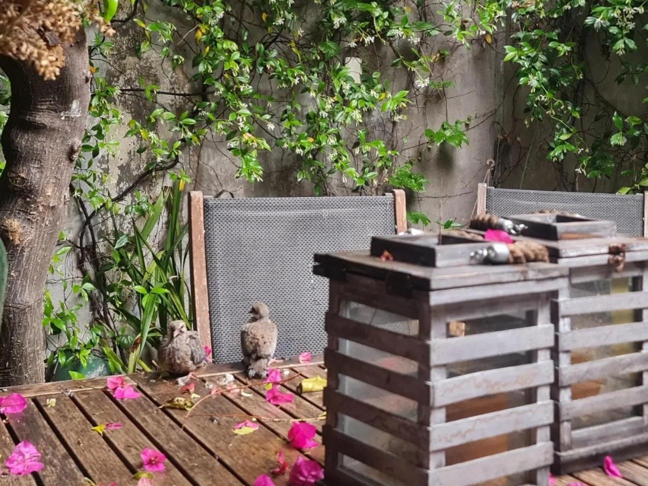 מלון Mi Casa De בואנוס איירס מראה חיצוני תמונה